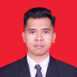 Profil CV Mirzarino Nur Arisyi