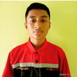 Profil CV Alwi s