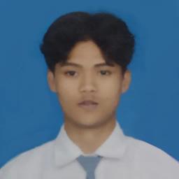 Profil CV Alvin Nur cahyono 