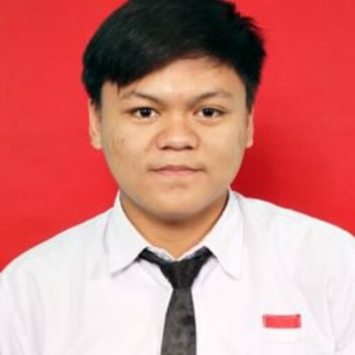 CV Aditya Lisandi