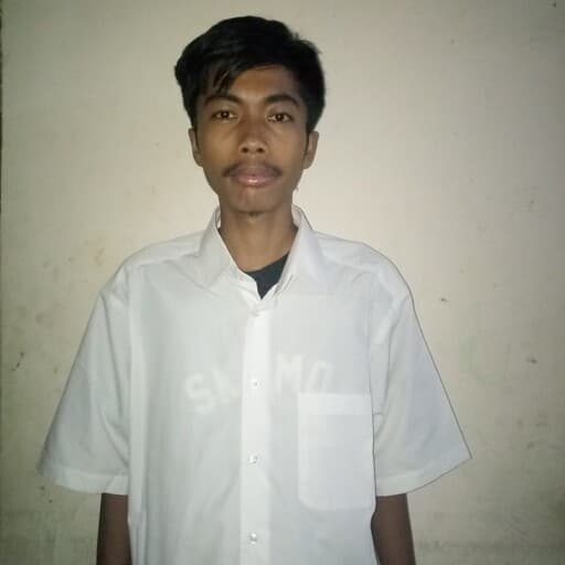 CV Ahmad Danu