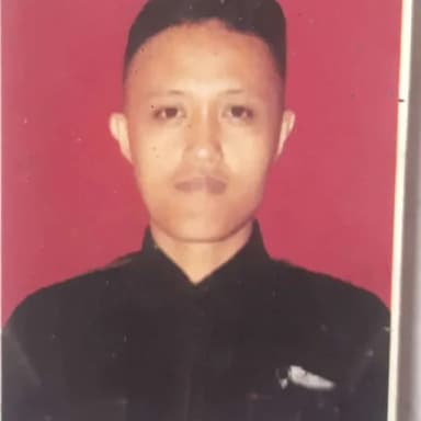 Profil CV Alan hadju