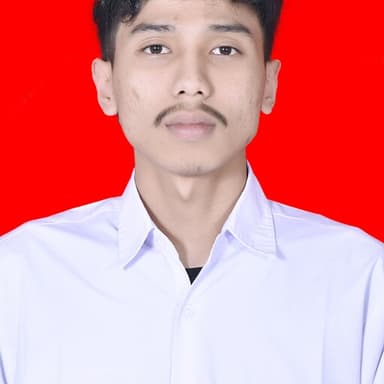 Profil CV Alief Aulia Noer Hameed