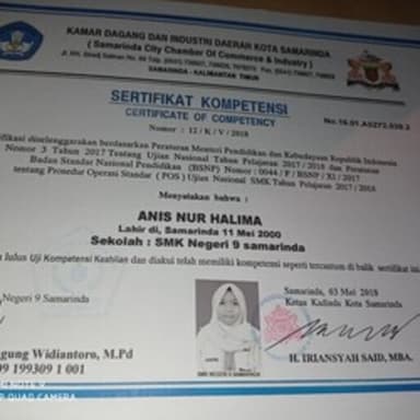 Profil CV Anis Nur Halimah