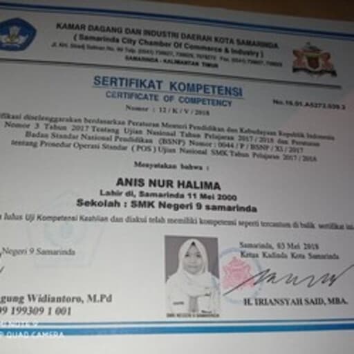 CV Anis Nur Halimah