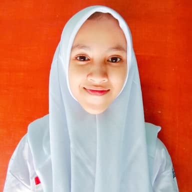 Profil CV Ariana Karin