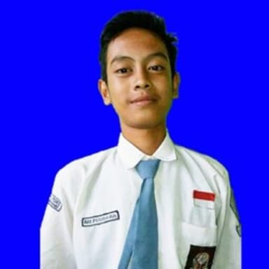 Profil CV Ari Permana