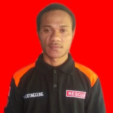 Profil CV Paul P Katunggung