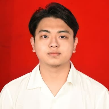 Profil CV Christian Hamonangan