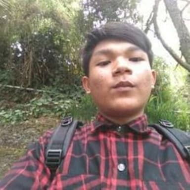 Profil CV Dandi Rakasiwi