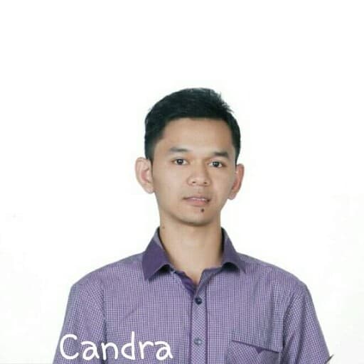 CV David Candra P