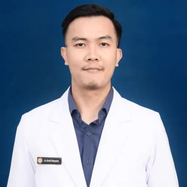 Profil CV David Febryanto