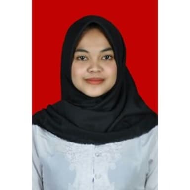 Profil CV Erlica Anisa