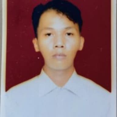 Profil CV Fardaud Sinaga