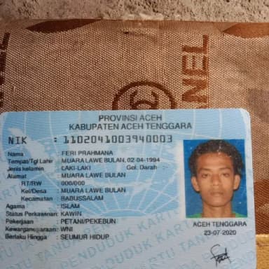 Profil CV Feri prahmana