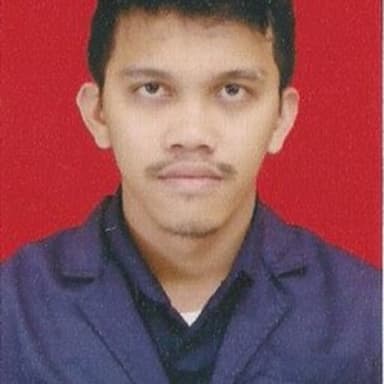 Profil CV Frans Paul Martua Pakpahan