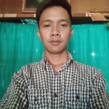 Profil CV Hamdani