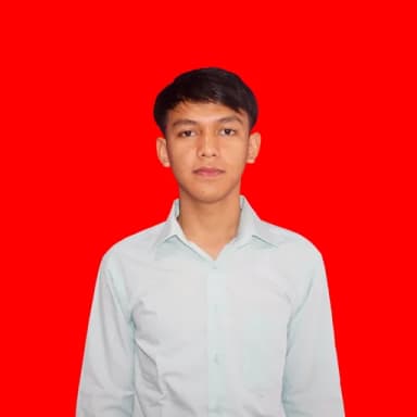 Profil CV Hendrik S.Hut