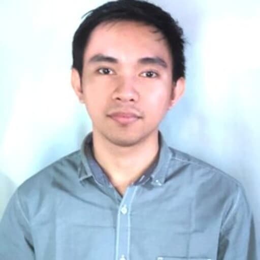 CV Indra David Pesik