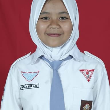 Profil CV Intan Nur Aeni