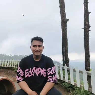 Profil CV David Setya Budi