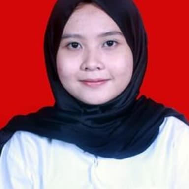 Profil CV Mega Handianti