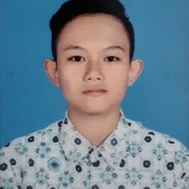 Profil CV Mega Try Anjani