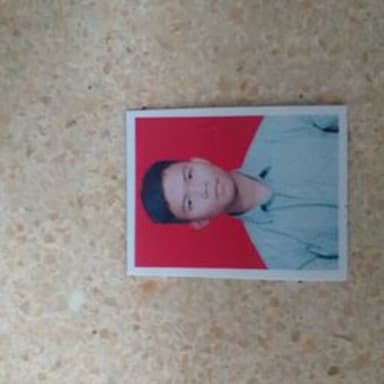 Profil CV Muhamad Arif Setiawan Tamrin