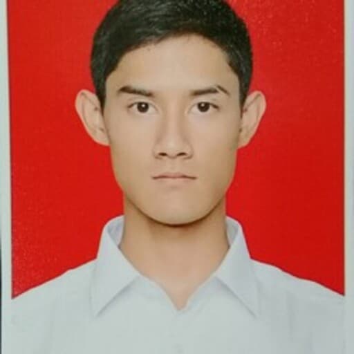 CV Muhamad Elmo Lesvito