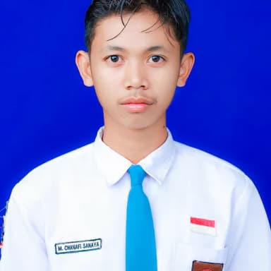 Profil CV Muhammad chanafi sanaya