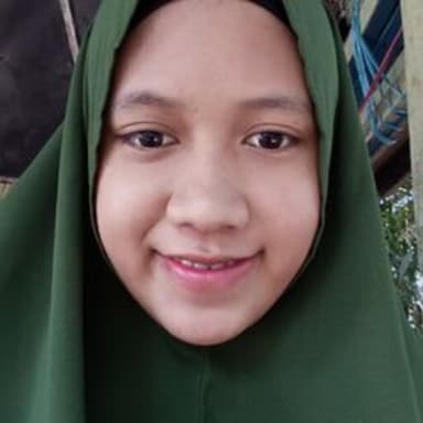 Profil CV Nurarisda