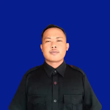 Profil CV ramanda auliza