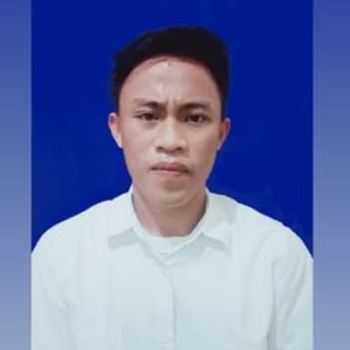 Profil CV RENALDI NASARU