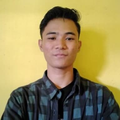 Profil CV Revian Alamsyah Putra