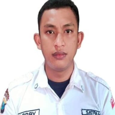 Profil CV Robby cahyono