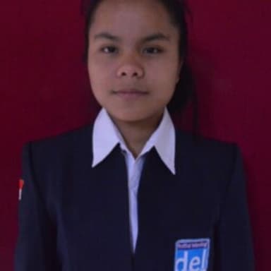 Profil CV Sari Feronika Nadapdap