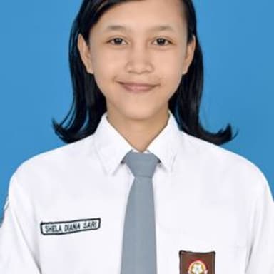 Profil CV Shela Diana Sari