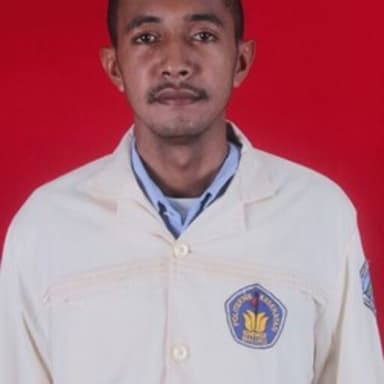 Profil CV Patrick Maulany