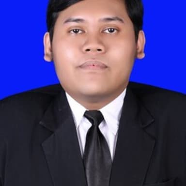 Profil CV Zulfikar N