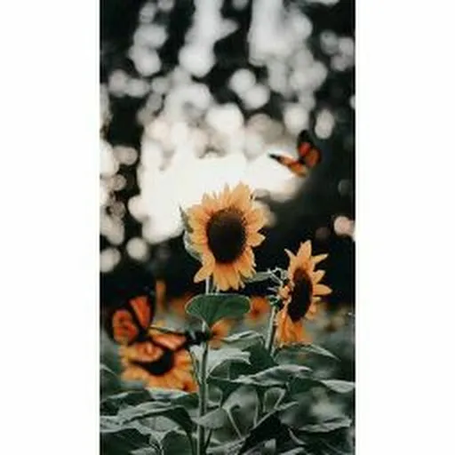 Profil CV Abria Alva Damayanti