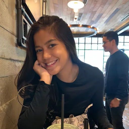 Profil CV Adya Jenaya