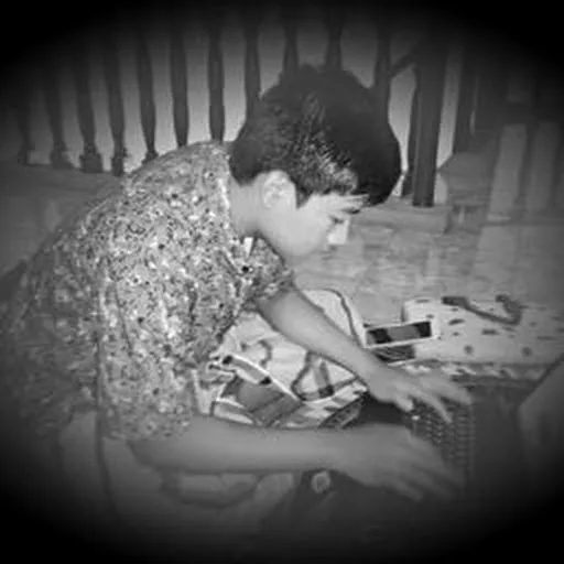 Profil CV Afif Reza
