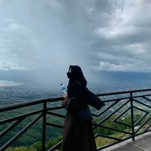Profil CV Agni Pratista (Gini)