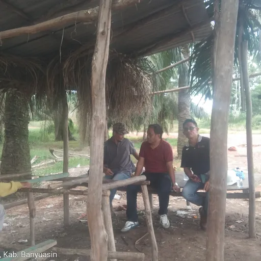 Profil CV Agus Hendra Parningotan Sitorus