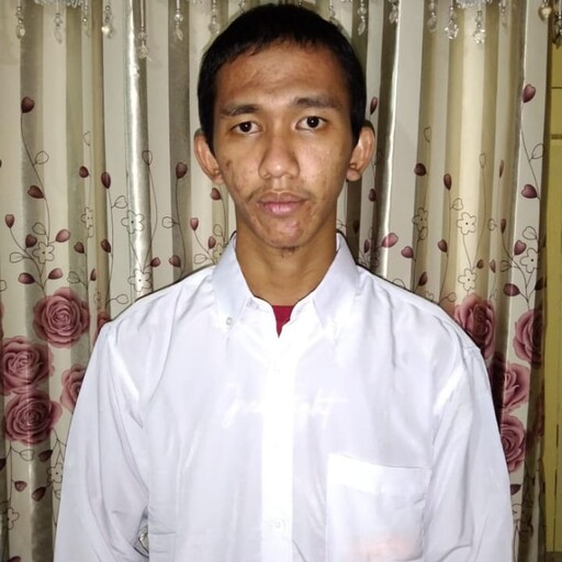 Profil CV Ahmad David