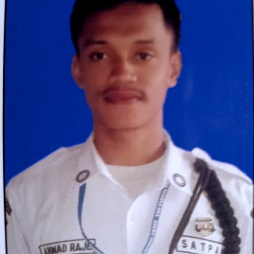 Profil CV Ahmad Raju