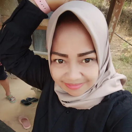 Profil CV Aknes Sampe toding