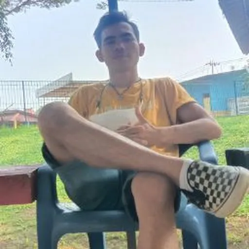 Profil CV Alberto Kris