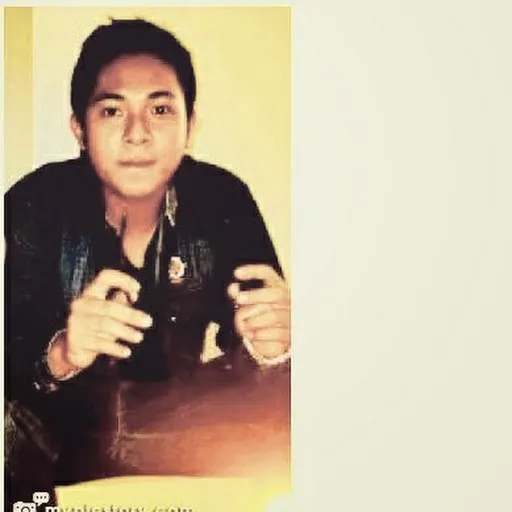 Profil CV Aldicky Hardian