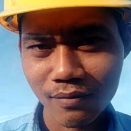 Profil CV Alfani